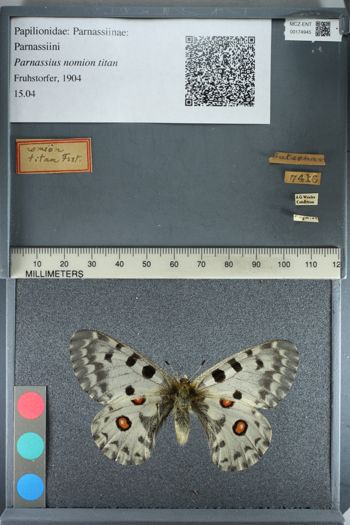 Media type: image;   Entomology 174945
